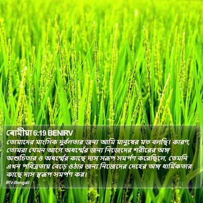 ৰোমীয়া 6:19 BENIRV Bible Verse Image