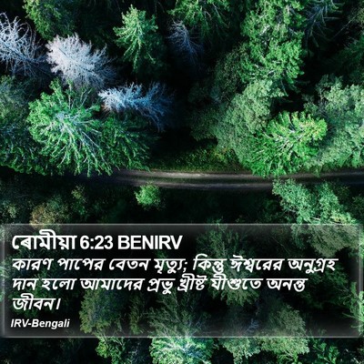 ৰোমীয়া 6:23 BENIRV Bible Verse Image
