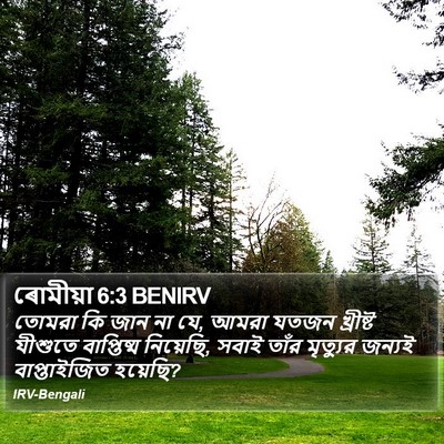 ৰোমীয়া 6:3 BENIRV Bible Verse Image