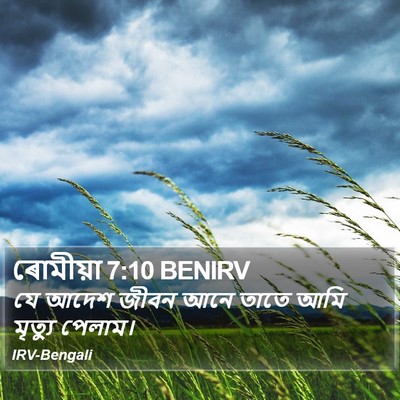 ৰোমীয়া 7:10 BENIRV Bible Verse Image