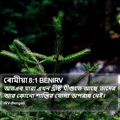 ৰোমীয়া 8:1 BENIRV Bible Verse Image
