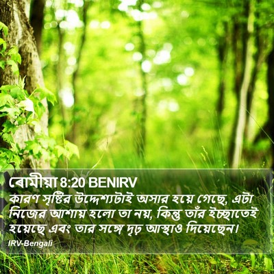 ৰোমীয়া 8:20 BENIRV Bible Verse Image