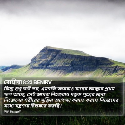 ৰোমীয়া 8:23 BENIRV Bible Verse Image