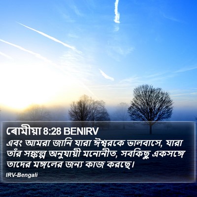 ৰোমীয়া 8:28 BENIRV Bible Verse Image