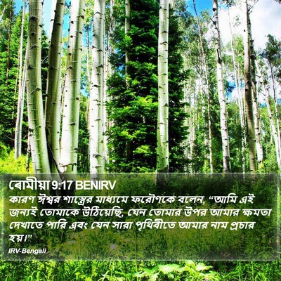 ৰোমীয়া 9:17 BENIRV Bible Verse Image