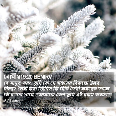 ৰোমীয়া 9:20 BENIRV Bible Verse Image