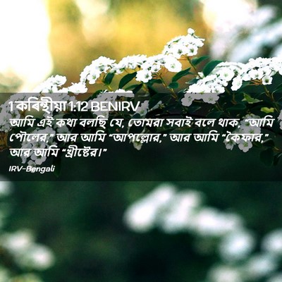Picture 02 - 1 কৰিন্থীয়া 1:12 BENIRV - আমি এই কথা বলছি যে, - Bible Verse Picture