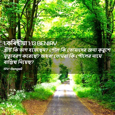 Picture 02 - 1 কৰিন্থীয়া 1:13 BENIRV - খ্রীষ্ট কি ভাগ - Bible Verse Picture
