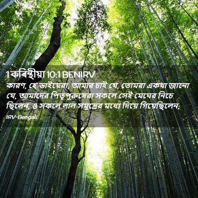 Picture 02 - 1 কৰিন্থীয়া 10:1 BENIRV - কারণ, হে ভাইয়েরা, - Bible Verse Picture