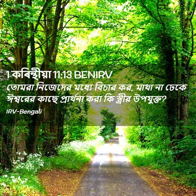 Picture 02 - 1 কৰিন্থীয়া 11:13 BENIRV - তোমরা নিজেদের - Bible Verse Picture