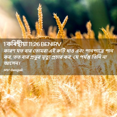 Picture 02 - 1 কৰিন্থীয়া 11:26 BENIRV - কারণ যত বার তোমরা - Bible Verse Picture