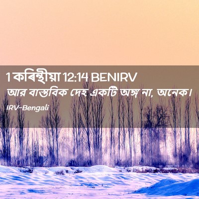 Picture 02 - 1 কৰিন্থীয়া 12:14 BENIRV - আর বাস্তবিক দেহ - Bible Verse Picture