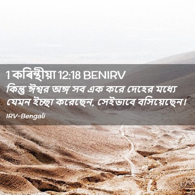 Picture 02 - 1 কৰিন্থীয়া 12:18 BENIRV - কিন্তু ঈশ্বর অঙ্গ - Bible Verse Picture