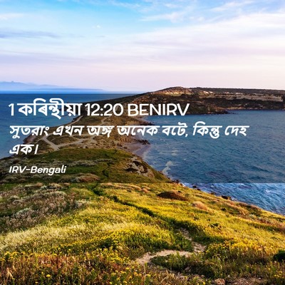 Picture 02 - 1 কৰিন্থীয়া 12:20 BENIRV - সুতরাং এখন অঙ্গ - Bible Verse Picture