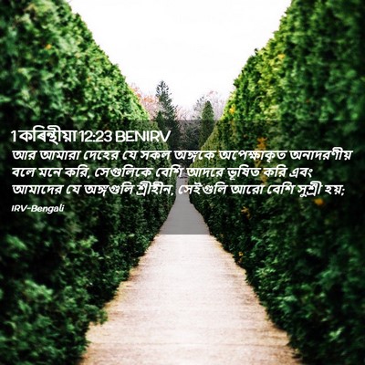 Picture 02 - 1 কৰিন্থীয়া 12:23 BENIRV - আর আমারা দেহের যে - Bible Verse Picture