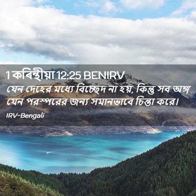 Picture 02 - 1 কৰিন্থীয়া 12:25 BENIRV - যেন দেহের মধ্যে - Bible Verse Picture