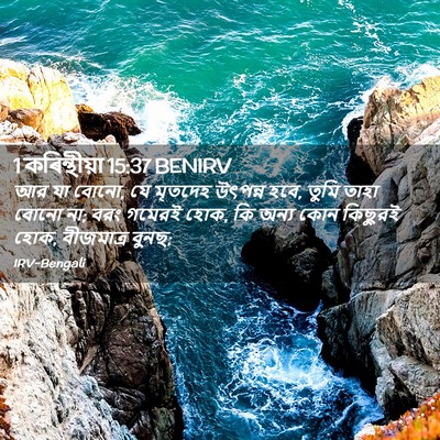 Picture 02 - 1 কৰিন্থীয়া 15:37 BENIRV - আর যা বোনো, যে - Bible Verse Picture