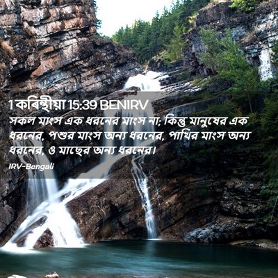 Picture 02 - 1 কৰিন্থীয়া 15:39 BENIRV - সকল মাংস এক ধরনের - Bible Verse Picture