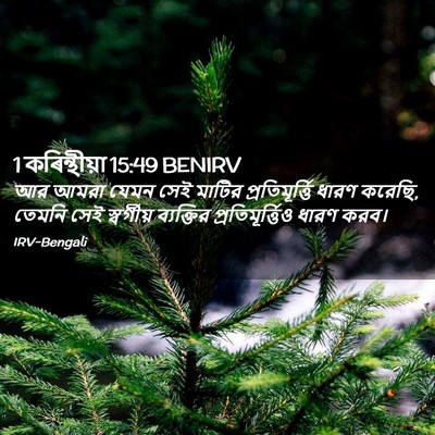 Picture 02 - 1 কৰিন্থীয়া 15:49 BENIRV - আর আমরা যেমন সেই - Bible Verse Picture