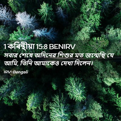 Picture 02 - 1 কৰিন্থীয়া 15:8 BENIRV - সবার শেষে অদিনের - Bible Verse Picture