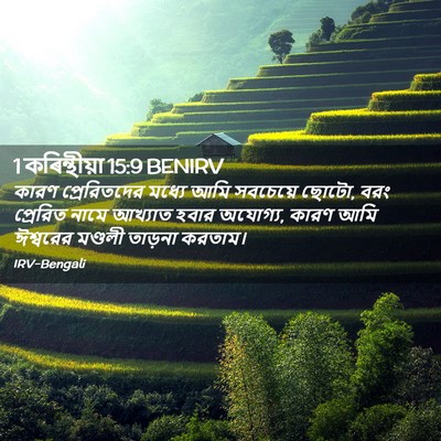 Picture 02 - 1 কৰিন্থীয়া 15:9 BENIRV - কারণ প্রেরিতদের - Bible Verse Picture