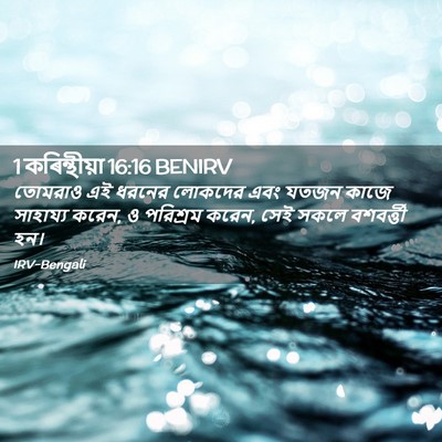 Picture 02 - 1 কৰিন্থীয়া 16:16 BENIRV - তোমরাও এই ধরনের - Bible Verse Picture