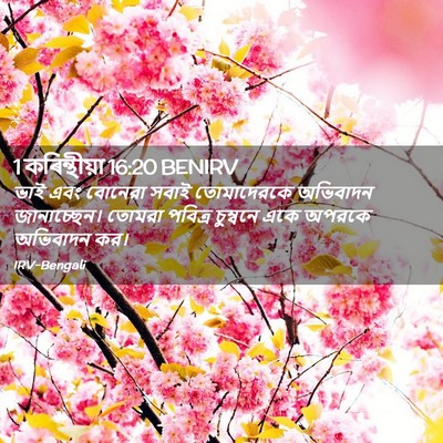 Picture 02 - 1 কৰিন্থীয়া 16:20 BENIRV - ভাই এবং বোনেরা - Bible Verse Picture
