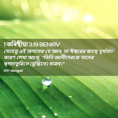 Picture 02 - 1 কৰিন্থীয়া 3:19 BENIRV - যেহেতু এই জগতের যে - Bible Verse Picture