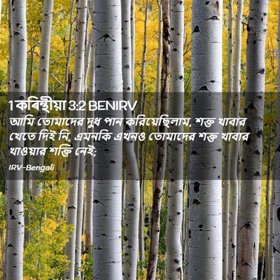 Picture 02 - 1 কৰিন্থীয়া 3:2 BENIRV - আমি তোমাদের দুধ - Bible Verse Picture