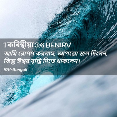Picture 02 - 1 কৰিন্থীয়া 3:6 BENIRV - আমি রোপণ করলাম, - Bible Verse Picture