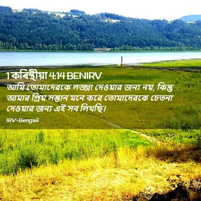 Picture 02 - 1 কৰিন্থীয়া 4:14 BENIRV - আমি তোমাদেরকে - Bible Verse Picture