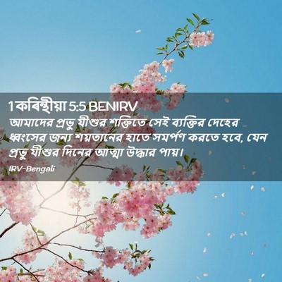 Picture 02 - 1 কৰিন্থীয়া 5:5 BENIRV - আমাদের প্রভু - Bible Verse Picture