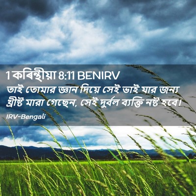 Picture 02 - 1 কৰিন্থীয়া 8:11 BENIRV - তাই তোমার জ্ঞান - Bible Verse Picture