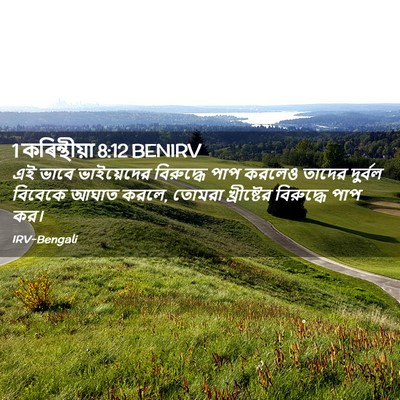 Picture 02 - 1 কৰিন্থীয়া 8:12 BENIRV - এই ভাবে ভাইয়েদের - Bible Verse Picture