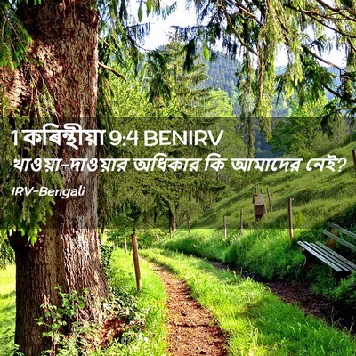 Picture 02 - 1 কৰিন্থীয়া 9:4 BENIRV - খাওয়া-দাওয়ার - Bible Verse Picture