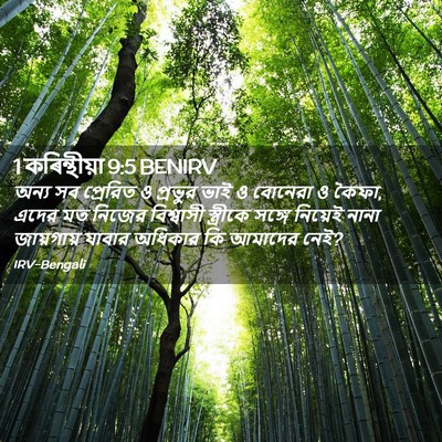 Picture 02 - 1 কৰিন্থীয়া 9:5 BENIRV - অন্য সব প্রেরিত ও - Bible Verse Picture