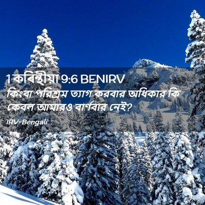 Picture 02 - 1 কৰিন্থীয়া 9:6 BENIRV - কিংবা পরিশ্রম - Bible Verse Picture