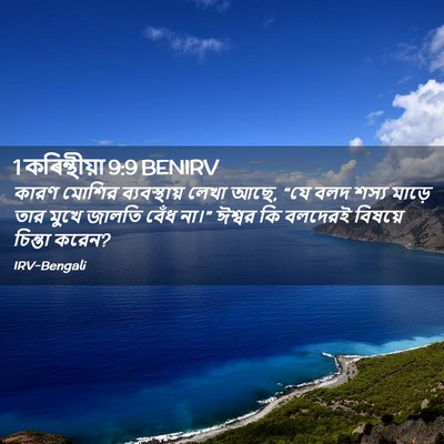 Picture 02 - 1 কৰিন্থীয়া 9:9 BENIRV - কারণ মোশির - Bible Verse Picture