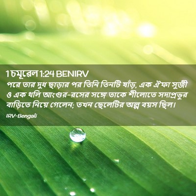 Picture 02 - 1 চমূৱেল 1:24 BENIRV - পরে তার দুধ ছাড়ার - Bible Verse Picture