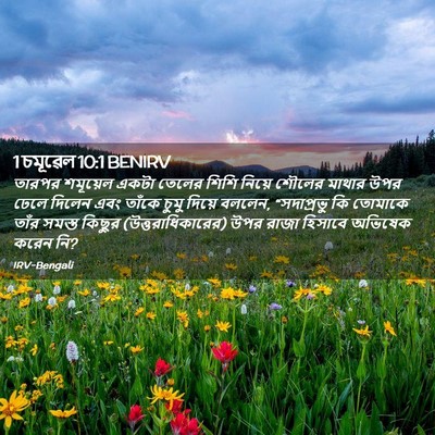 Picture 02 - 1 চমূৱেল 10:1 BENIRV - তারপর শমূয়েল - Bible Verse Picture
