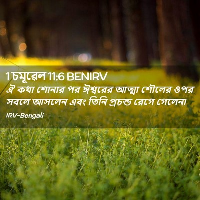 Picture 02 - 1 চমূৱেল 11:6 BENIRV - ঐ কথা শোনার পর - Bible Verse Picture