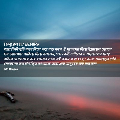 Picture 02 - 1 চমূৱেল 11:7 BENIRV - আর তিনি দুটি বলদ - Bible Verse Picture