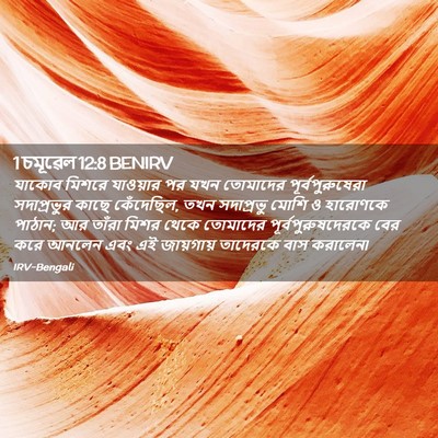 Picture 02 - 1 চমূৱেল 12:8 BENIRV - যাকোব মিশরে - Bible Verse Picture