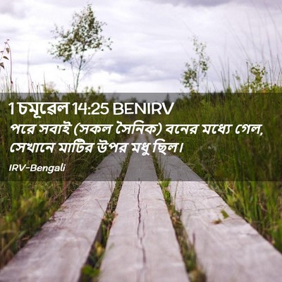 Picture 02 - 1 চমূৱেল 14:25 BENIRV - পরে সবাই (সকল - Bible Verse Picture