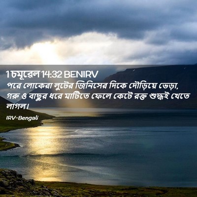 Picture 02 - 1 চমূৱেল 14:32 BENIRV - পরে লোকেরা লুটের - Bible Verse Picture