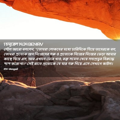 Picture 02 - 1 চমূৱেল 14:34 BENIRV - শৌল আরো বললেন, - Bible Verse Picture