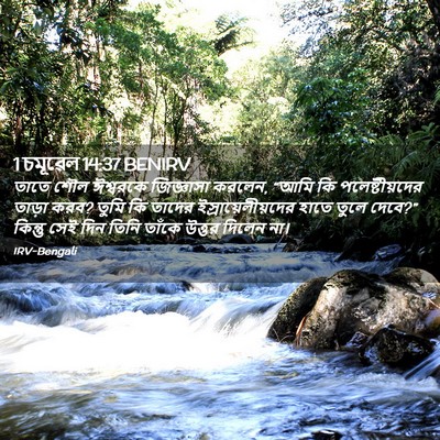 Picture 02 - 1 চমূৱেল 14:37 BENIRV - তাতে শৌল ঈশ্বরকে - Bible Verse Picture