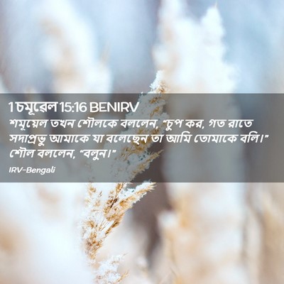 Picture 02 - 1 চমূৱেল 15:16 BENIRV - শমূয়েল তখন শৌলকে - Bible Verse Picture