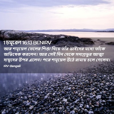 Picture 02 - 1 চমূৱেল 16:13 BENIRV - আর শমূয়েল তেলের - Bible Verse Picture