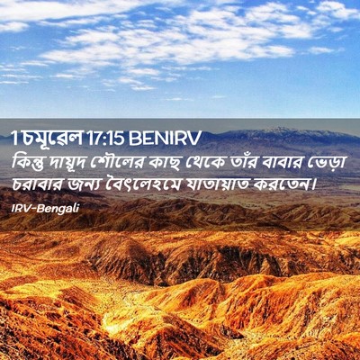 Picture 02 - 1 চমূৱেল 17:15 BENIRV - কিন্তু দায়ূদ - Bible Verse Picture